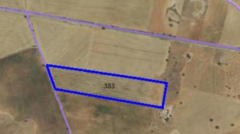 Country house to rent in Calle de Valparaíso, 5, Pozuelo del Rey, Madrid - image 5 Photo 5 of Country house to rent in Calle de Valparaíso, 5, Pozuelo del Rey, Madrid