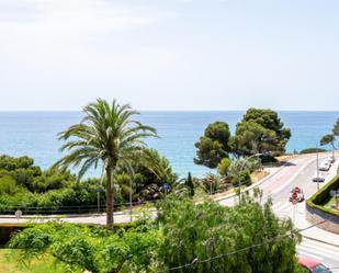 Jardí de Apartament de lloguer en Mont-roig del Camp amb Aire condicionat i Terrassa