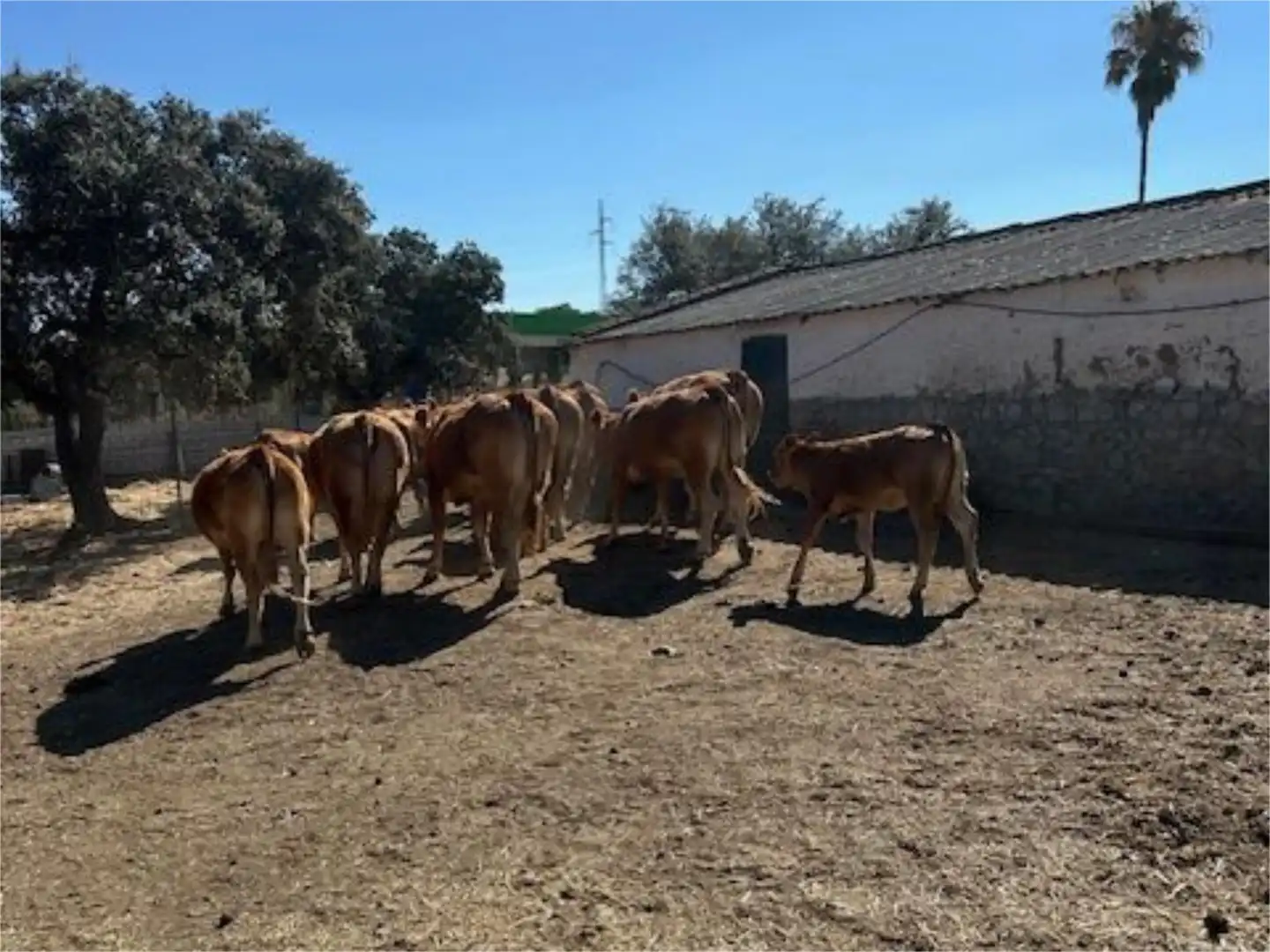 Finca rústica en venta en Calle Venta de Abajo, 3, El Castillo de las Guardas Vista exterior de Finca rústica en venta en El Castillo de las Guardas con Aire acondicionado, Calefacción y Jardín privado