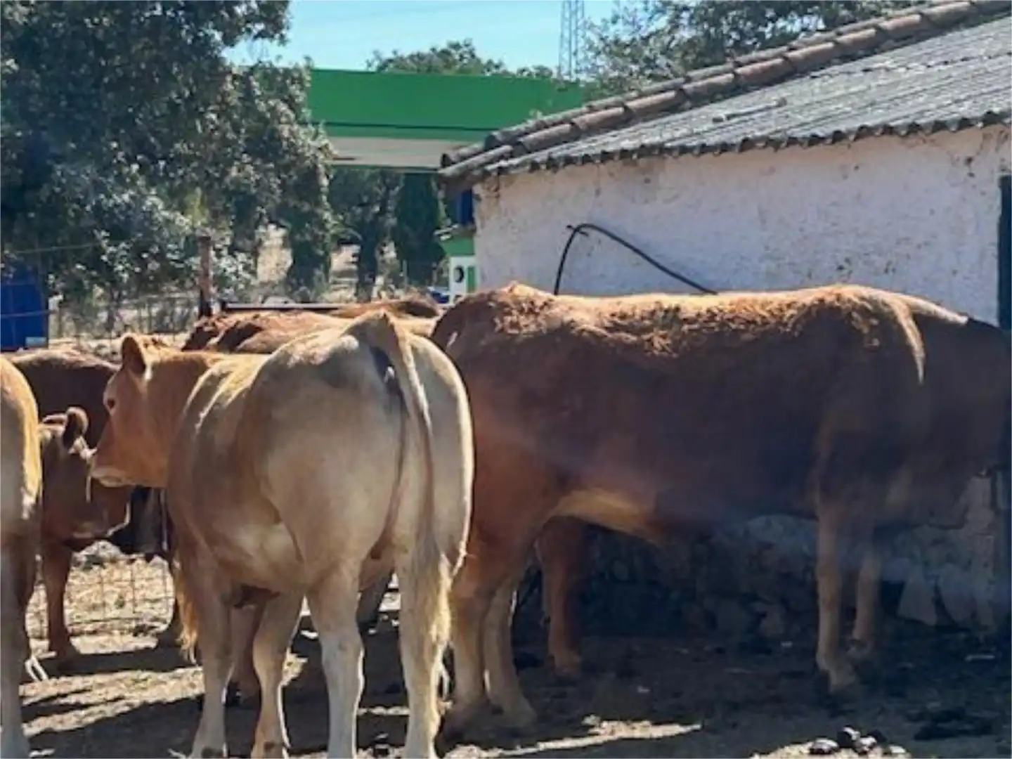 Finca rústica en venta en Calle Venta de Abajo, 3, El Castillo de las Guardas Vista exterior de Finca rústica en venta en El Castillo de las Guardas con Aire acondicionado, Calefacción y Jardín privado