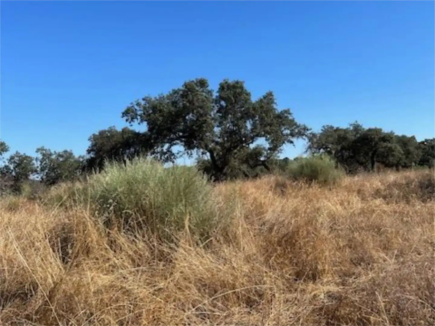 Finca rústica en venta en Calle Venta de Abajo, 3, El Castillo de las Guardas Finca rústica en venta en El Castillo de las Guardas con Aire acondicionado, Calefacción y Jardín privado