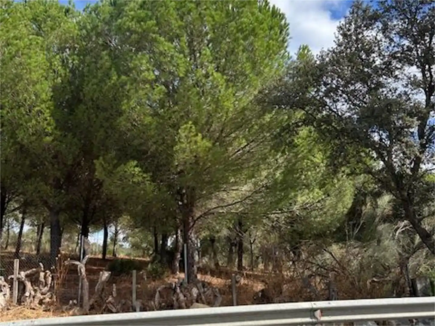 Finca rústica en venta en Calle Venta de Abajo, 3, El Castillo de las Guardas Finca rústica en venta en El Castillo de las Guardas con Aire acondicionado, Calefacción y Jardín privado