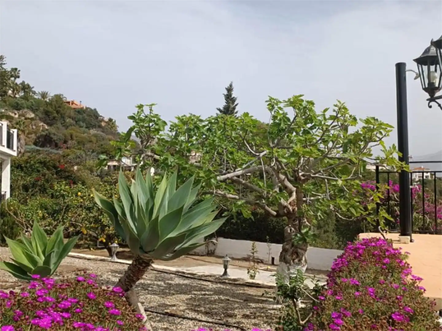 Casa o xalet en venda a Calle Algarrobina, 1019, Monte los Almendros - El Pargo - Costa Aguilera Jardí de Casa o xalet en venda en Salobreña amb Aire condicionat, Calefacció i Jardí privat