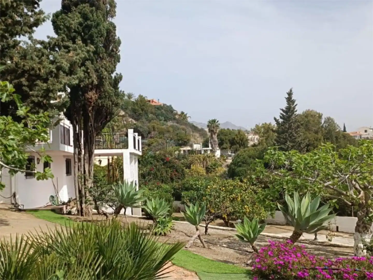 Casa o xalet en venda a Calle Algarrobina, 1019, Monte los Almendros - El Pargo - Costa Aguilera Jardí de Casa o xalet en venda en Salobreña amb Aire condicionat, Calefacció i Jardí privat
