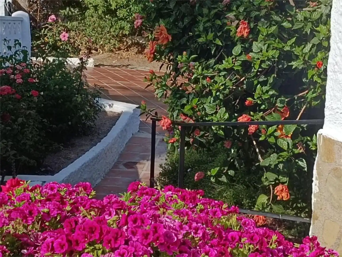 Casa o xalet en venda a Calle Algarrobina, 1019, Monte los Almendros - El Pargo - Costa Aguilera Jardí de Casa o xalet en venda en Salobreña amb Aire condicionat, Calefacció i Jardí privat