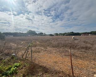 Finca rústica en venda a Avenida Octavio Augusto, 16, Novo Sancti Petri Finca rústica en venda en Chiclana de la Frontera