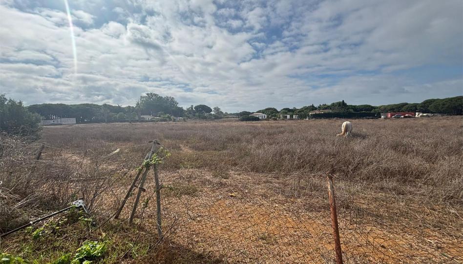 Foto 1 de Finca rústica en venda a Avenida Octavio Augusto, 16, Novo Sancti Petri, Cádiz