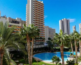 Swimming pool of Flat for sale in Benidorm  with Air Conditioner and Terrace