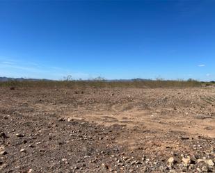 Land for sale in Fuente Álamo de Murcia