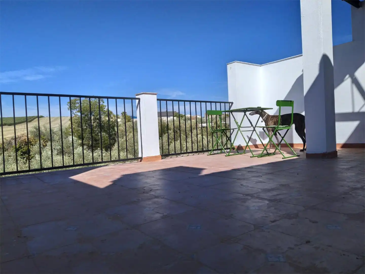 Habitación en Camino Chancillarejo, 94, Alcolea