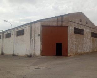 Exterior view of Industrial buildings for sale in San Adrián