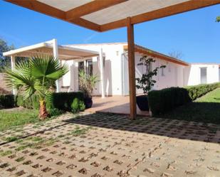 Jardí de Finca rústica de lloguer en Son Servera amb Aire condicionat i Terrassa