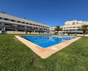 Swimming pool of Single-family semi-detached to rent in La Pobla de Farnals  with Air Conditioner, Terrace and Swimming Pool