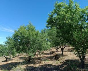 Terreny en venda en Navamorcuende