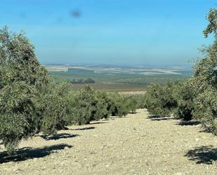 Terreny en venda en Herrera