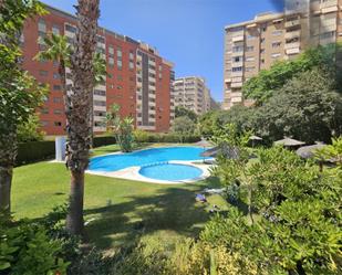 Garden of Flat to rent in Alicante / Alacant  with Air Conditioner, Terrace and Swimming Pool