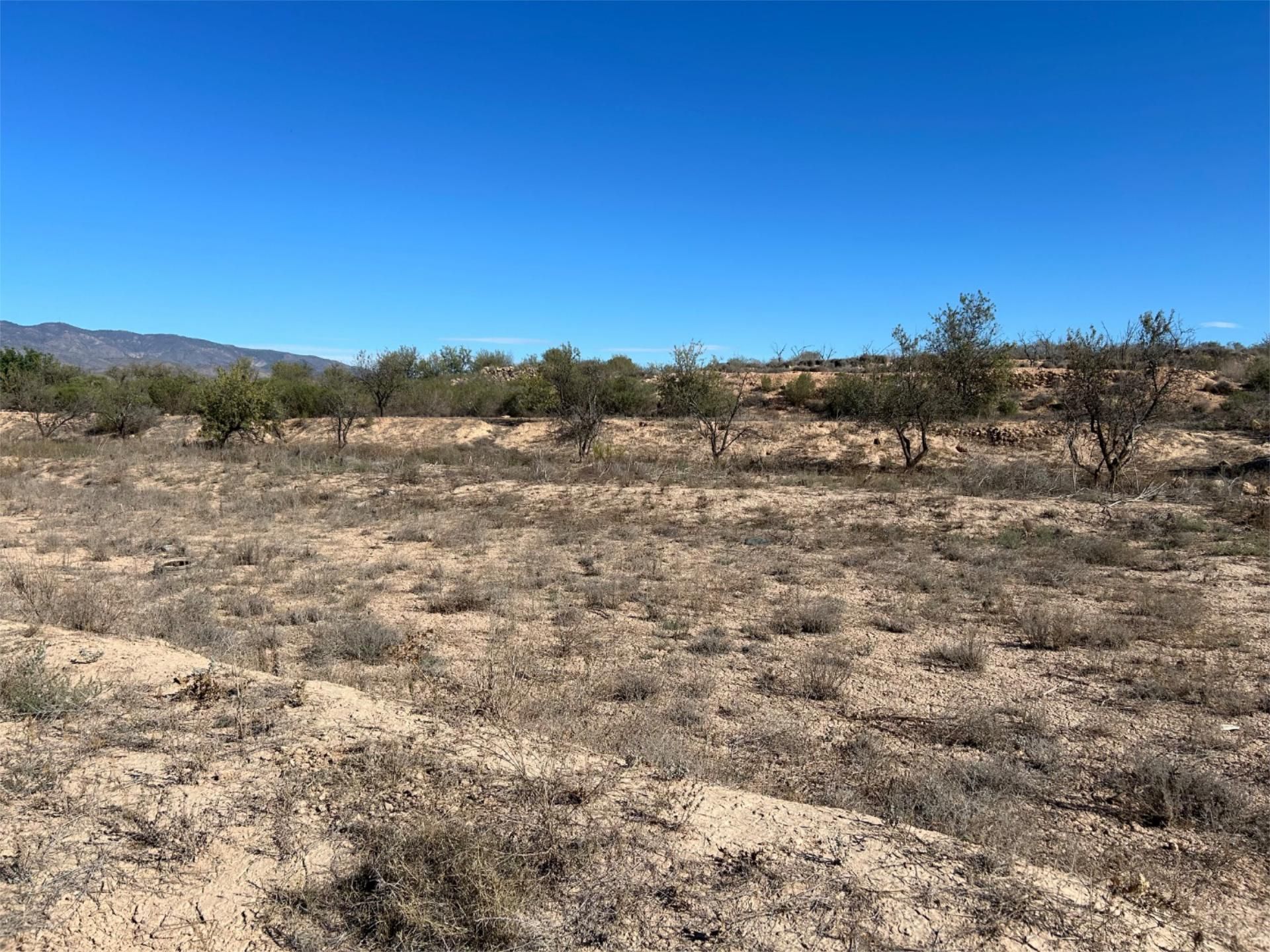 Land for sale in Fuente Álamo de Murcia