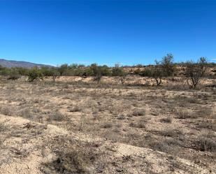 Land for sale in Fuente Álamo de Murcia