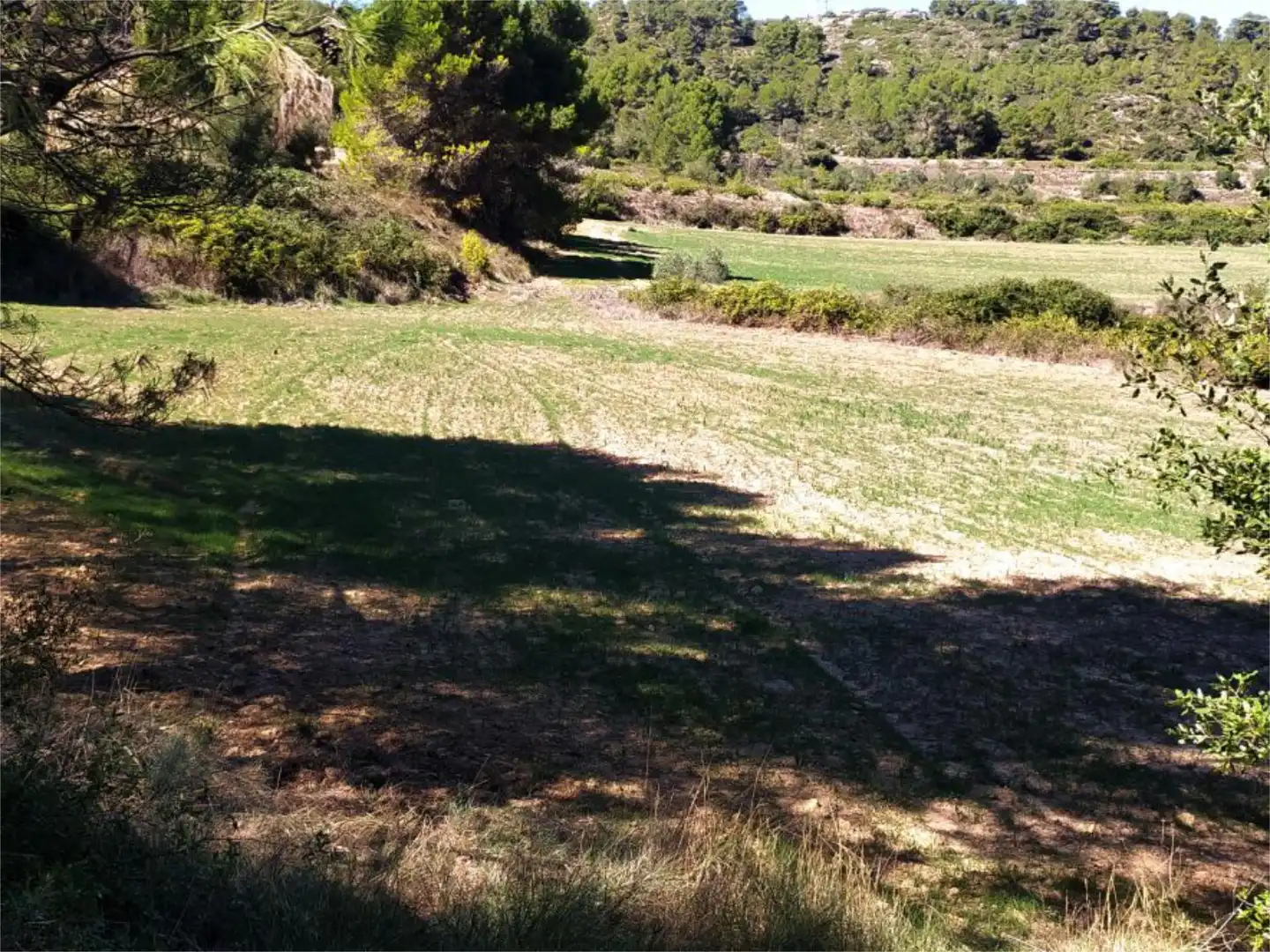 Country homes for sale in Cami L'estacio, 2, Vimbodí i Poblet Country homes for sale in Vimbodí i Poblet