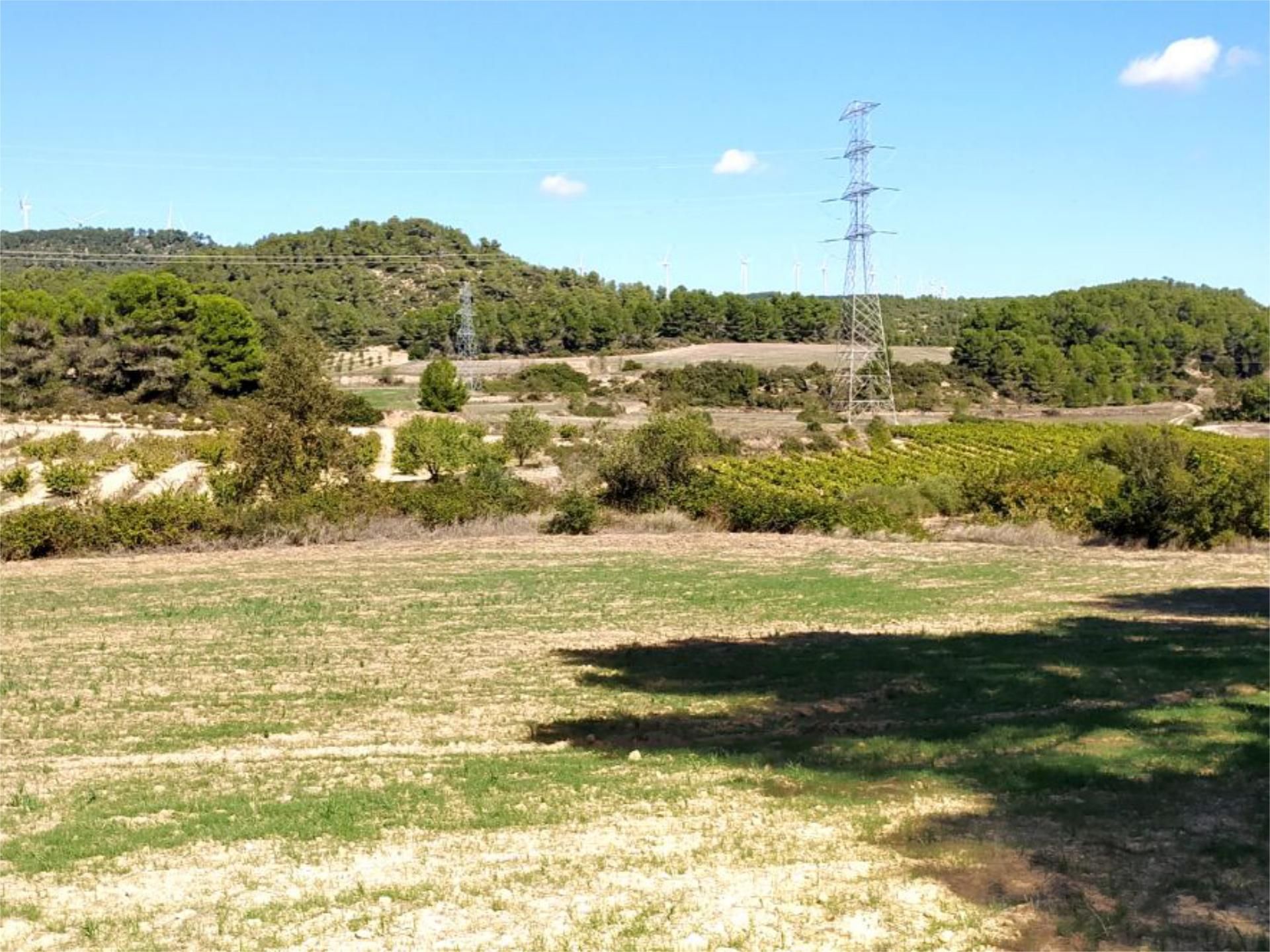 Pis en venda en Vimbodí i Poblet