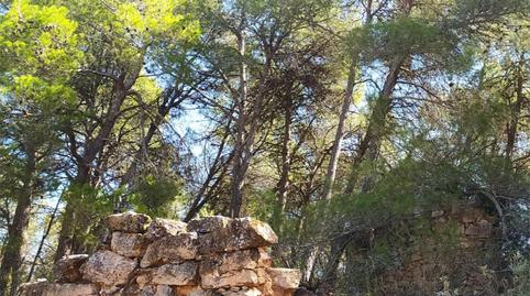 Foto 5 von Country house zum Verkauf in Cami L'estacio, 2, Vimbodí i Poblet, Tarragona