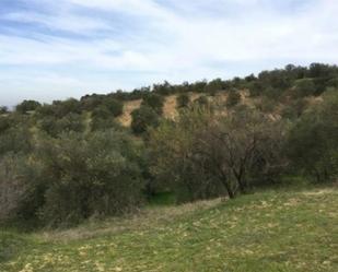 Terreny en venda en Sanlúcar la Mayor