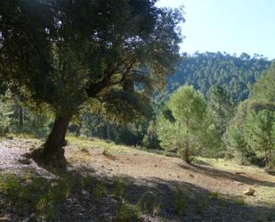 Terreny en venda en Hornos