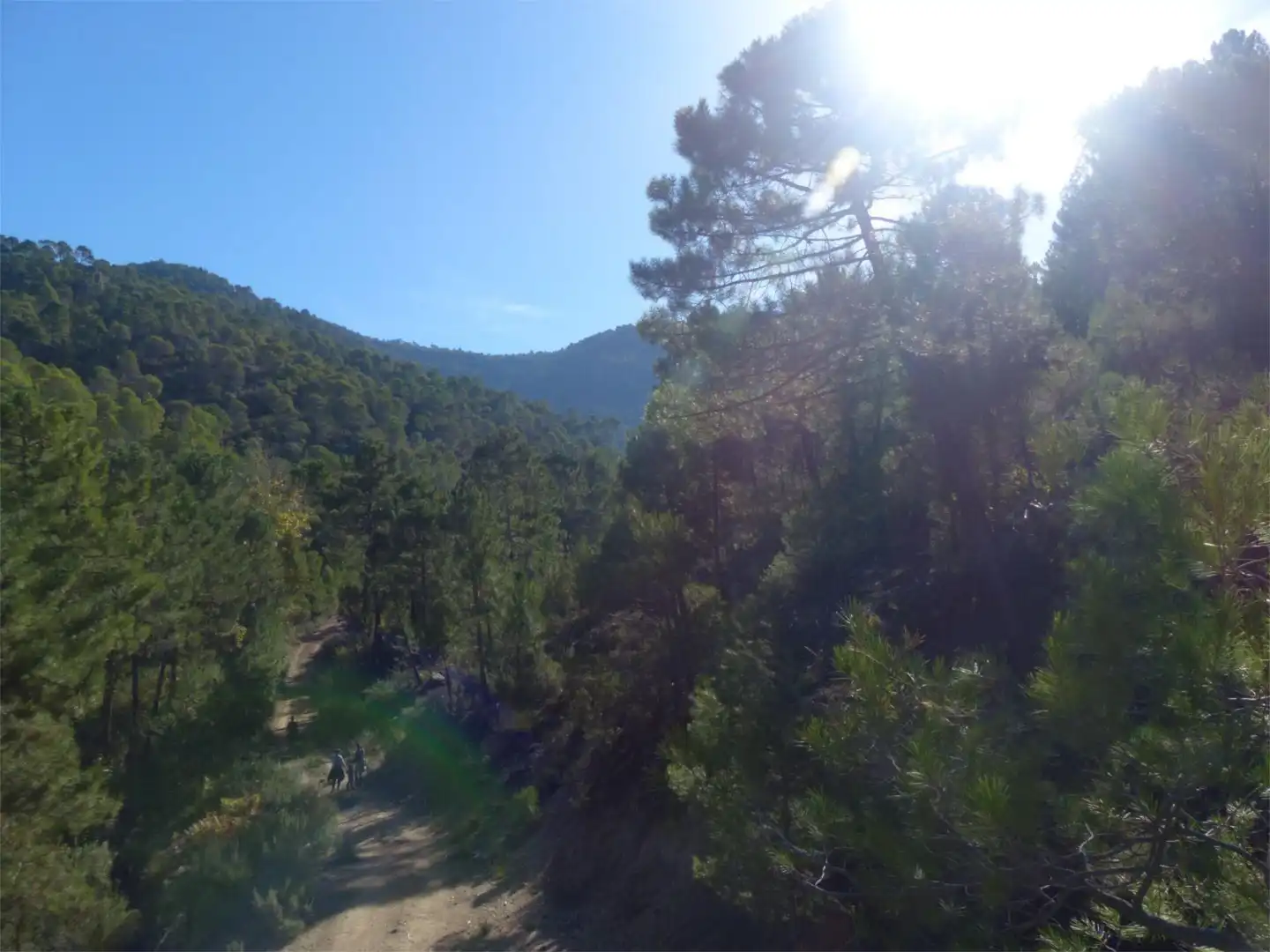Land for sale in Calle Murallas, 7, Hornos Land for sale in Hornos