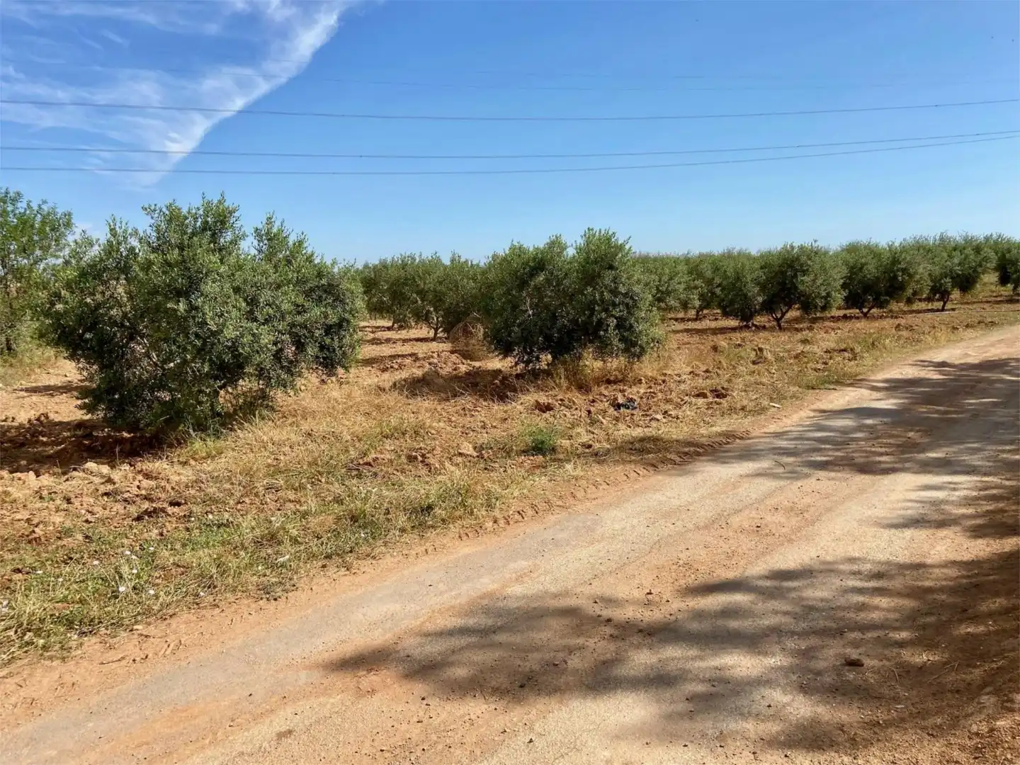 Finca rústica en venda a Pasaje Castillejos, 23, La Magdalena - Molinos Marfagones Finca rústica en venda en Cartagena