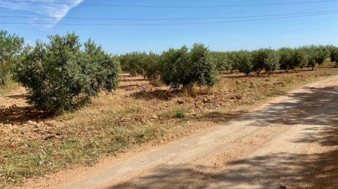 Foto 5 de Finca rústica en venda a Pasaje Castillejos, 23, La Magdalena - Molinos Marfagones, Murcia