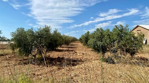 Foto 2 de Finca rústica en venda a Pasaje Castillejos, 23, La Magdalena - Molinos Marfagones, Murcia