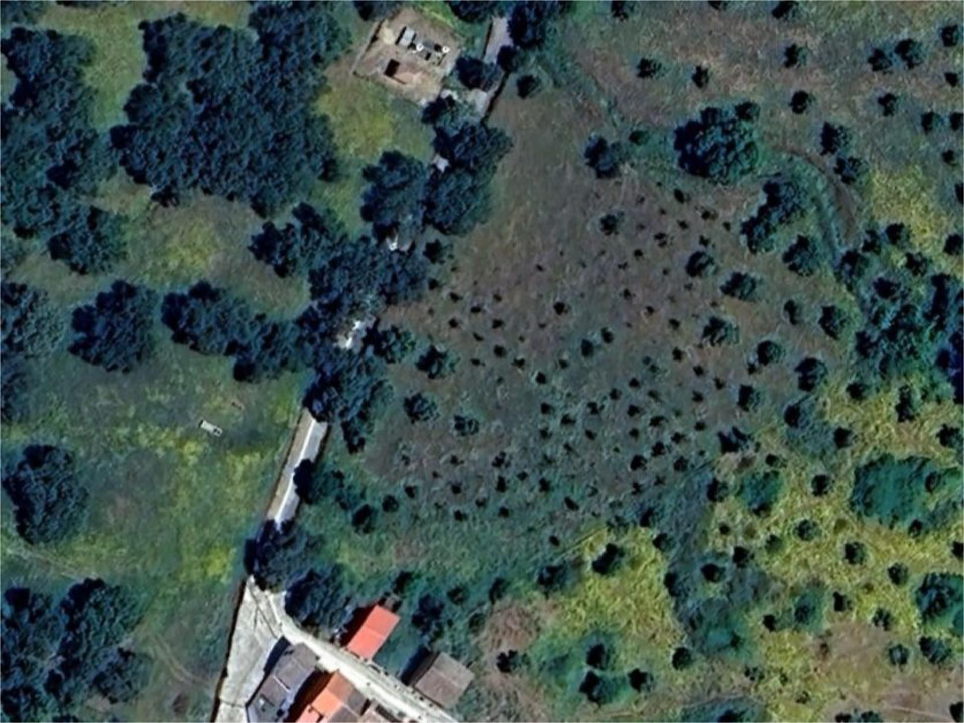 Land for sale in Cumbres de Enmedio