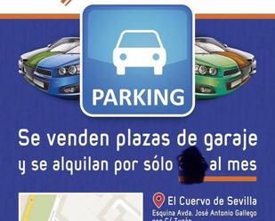 Parking of Garage to rent in El Cuervo de Sevilla