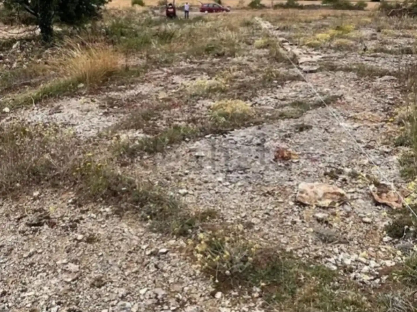 Land for sale in Valle de Losa