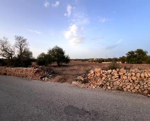 Constructible Land for sale in Ses Salines