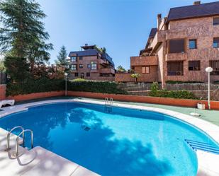 Swimming pool of Flat to rent in  Madrid Capital  with Terrace, Swimming Pool and Balcony