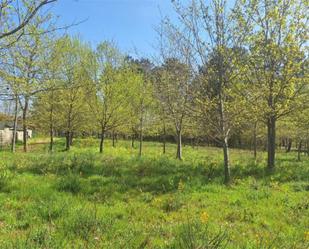 Grundstücke zum verkauf in Ponteareas