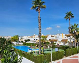 Vista exterior de Estudi de lloguer en Pilar de la Horadada amb Aire condicionat, Terrassa i Piscina