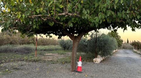 Foto 5 de Terreny en venda a Tv-7223, 3, Vilallonga del Camp, Tarragona
