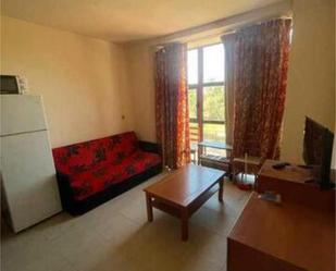 Sala d'estar de Apartament en venda en Alpedrete