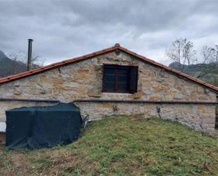 Exterior view of House or chalet for sale in Cabrales