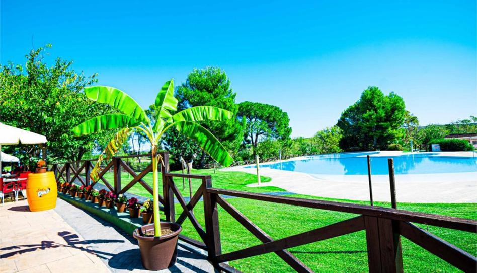 Photo 1 of Flat to share in Vinalopo, 42, Riba-roja de Túria, Valencia