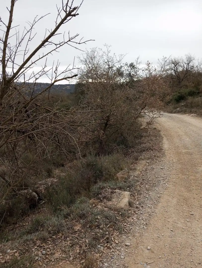 Grundstücke zum Verkauf in Carrer Camí Nou, 8, Biosca Grundstücke zum Verkauf in Biosca