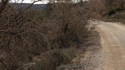 Terreny en venda a Carrer Camí Nou, 8, Biosca, Lleida - imatge 2 Foto 2 de Terreny en venda a Carrer Camí Nou, 8, Biosca, Lleida