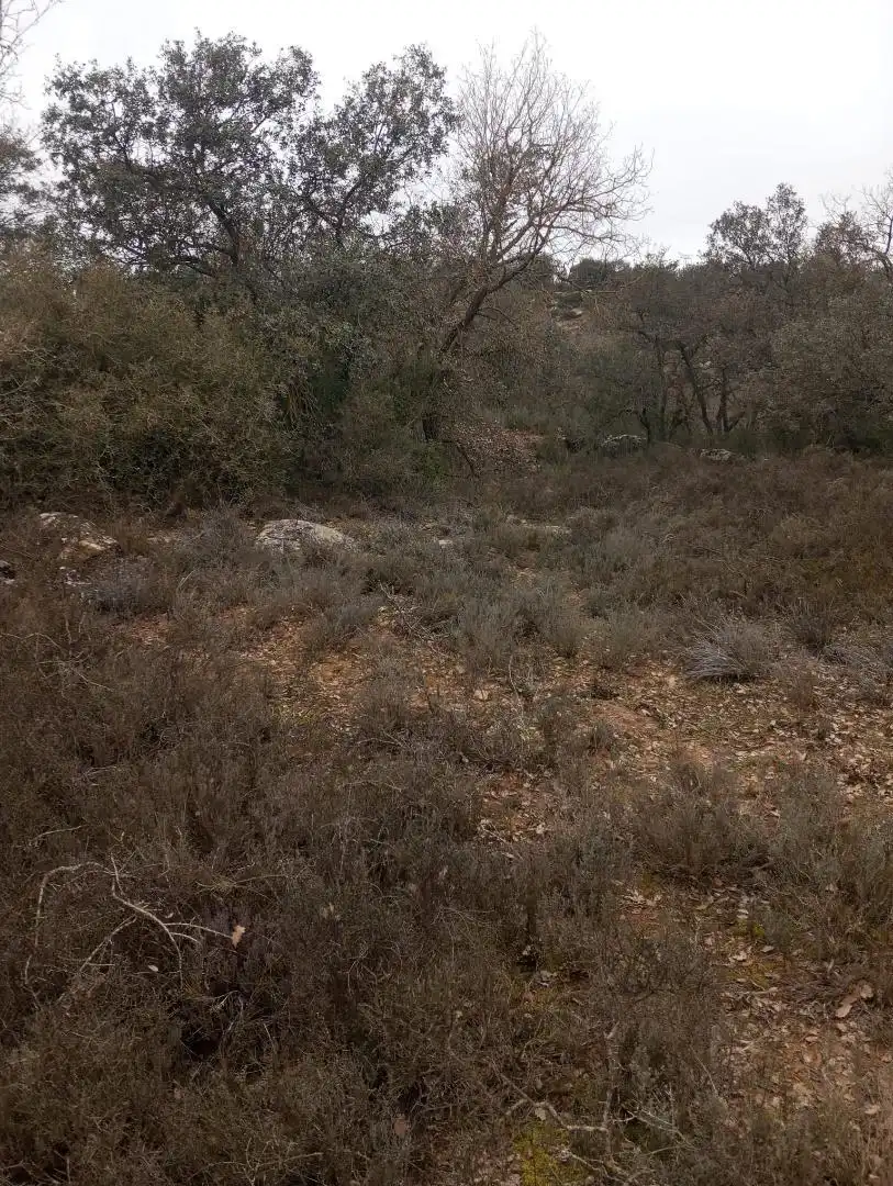 Grundstücke zum Verkauf in Carrer Camí Nou, 8, Biosca Grundstücke zum Verkauf in Biosca