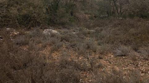 Terreny en venda a Carrer Camí Nou, 8, Biosca, Lleida - imatge 4 Foto 4 de Terreny en venda a Carrer Camí Nou, 8, Biosca, Lleida