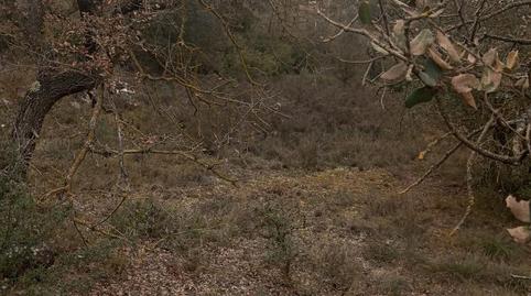 Terreny en venda a Carrer Camí Nou, 8, Biosca, Lleida - imatge 5 Foto 5 de Terreny en venda a Carrer Camí Nou, 8, Biosca, Lleida