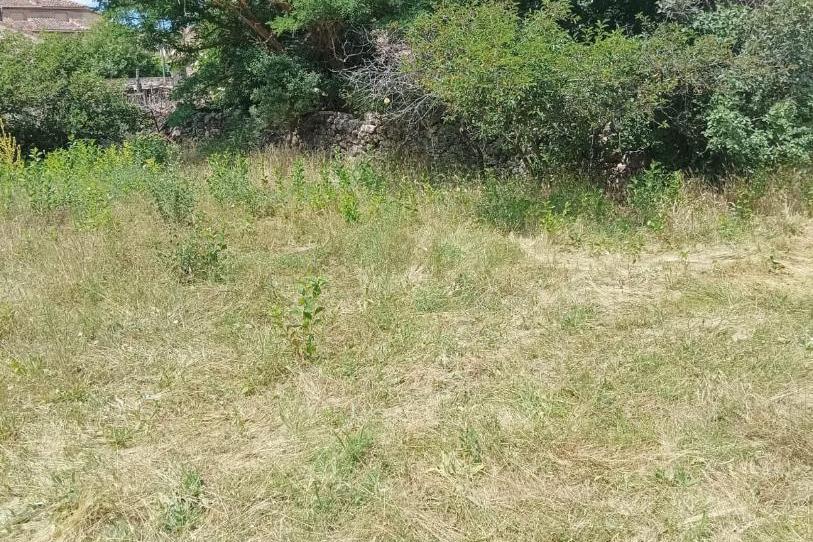 House or chalet for sale in Calle del Sol, 4, Arcones, Segovia - image 1 Photo 1 of House or chalet for sale in Calle del Sol, 4, Arcones, Segovia