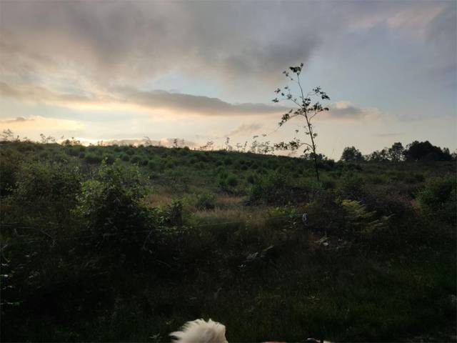 Terreno en Venta en Caserio San Julian, 3A en Grandas de Salime