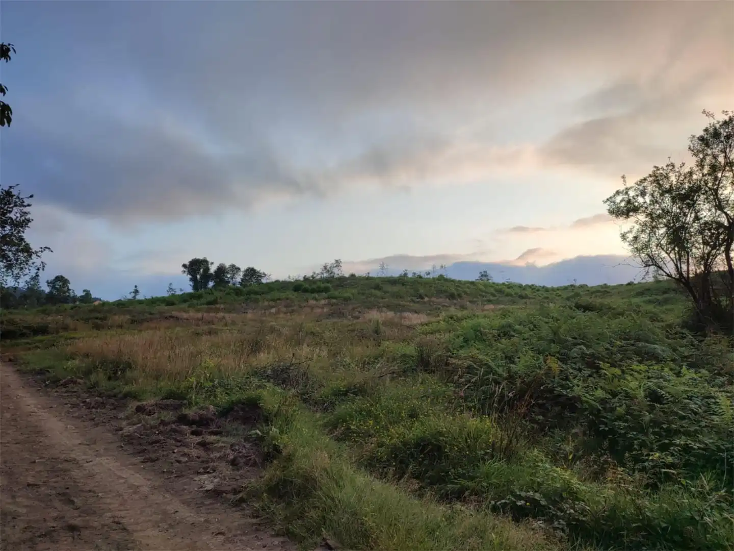 Land for sale in Grandas de Salime